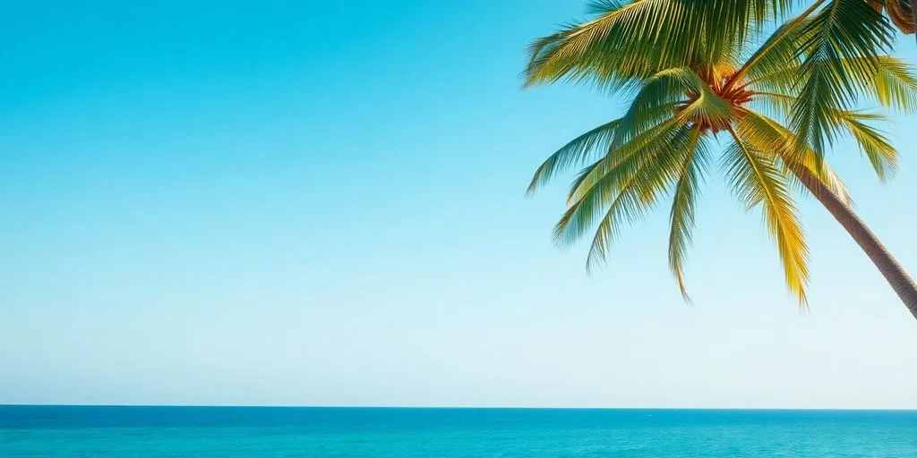 Palm tree with ocean view in Puerto Rico.