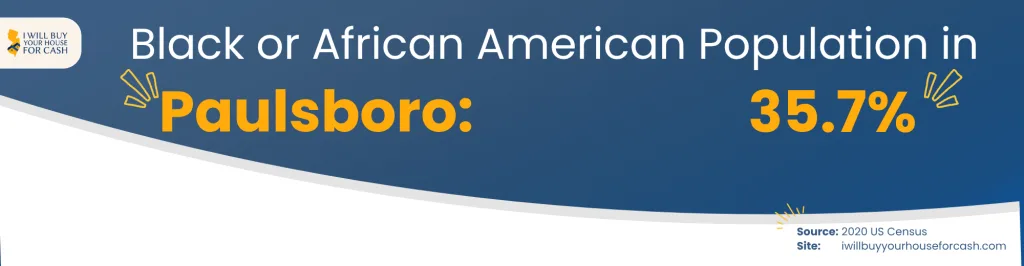 Black or African American Population in Paulsboro NJ