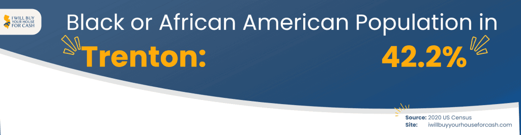 Black or African American Population in Trenton NJ