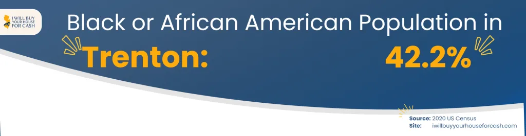 Black or African American Population in Trenton NJ